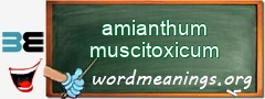 WordMeaning blackboard for amianthum muscitoxicum